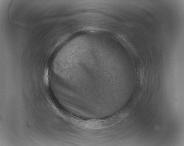 X0000079280024200612011710