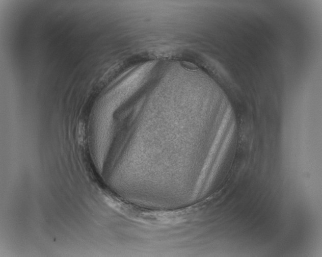 X0000079280025200612011710