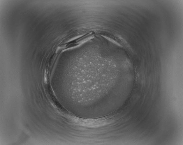 X0000079280026200612011710