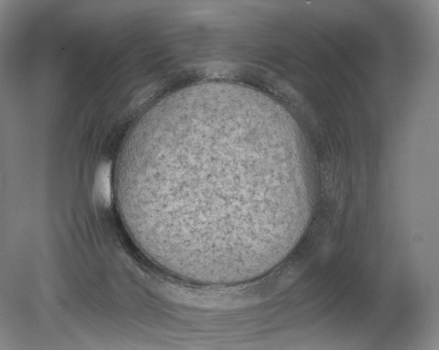 X0000079280028200612011710