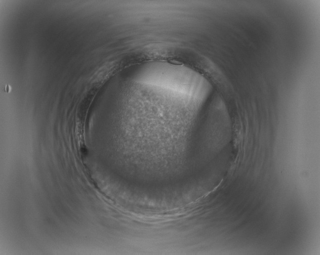 X0000079280029200612011710