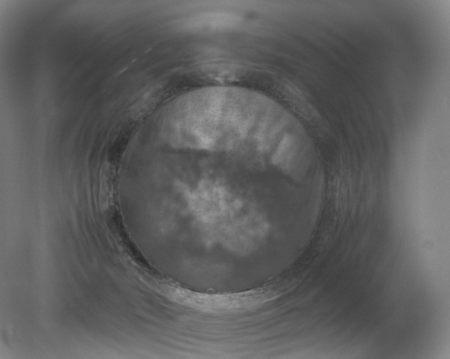 X0000079280030200612011709