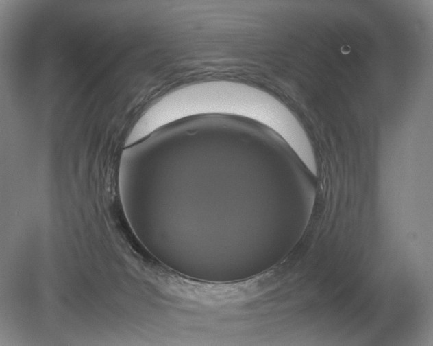 X0000079280031200612011709