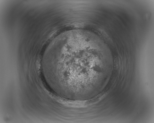 X0000079280032200612011709