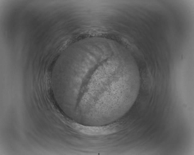 X0000079280034200612011709