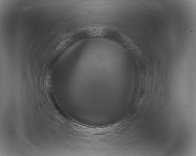 X0000079280035200612011709