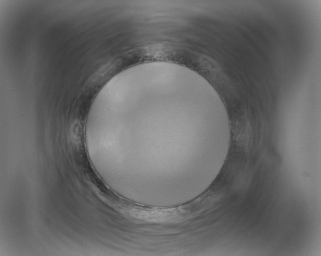 X0000079280036200612011709