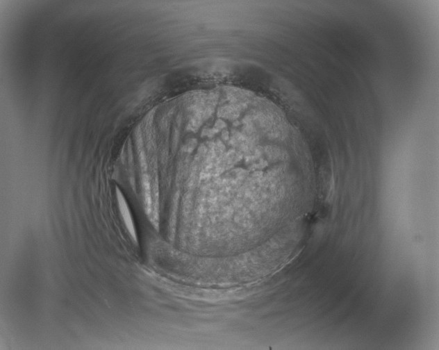 X0000079280037200612011709