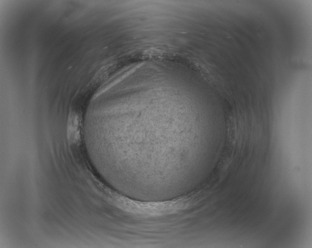 X0000079280038200612011709