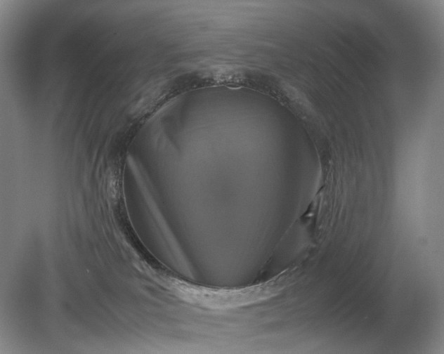 X0000079280039200612011709