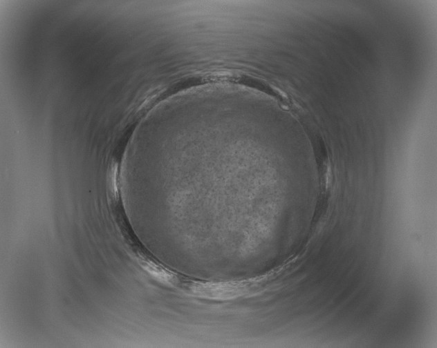 X0000079280041200612011709