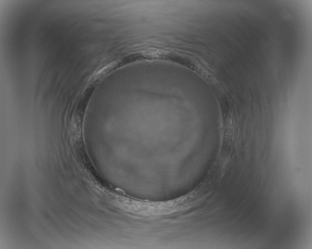 X0000079280043200612011709