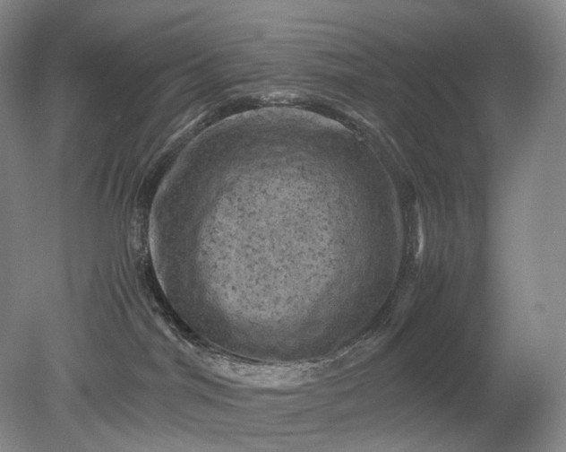 X0000079280044200612011709