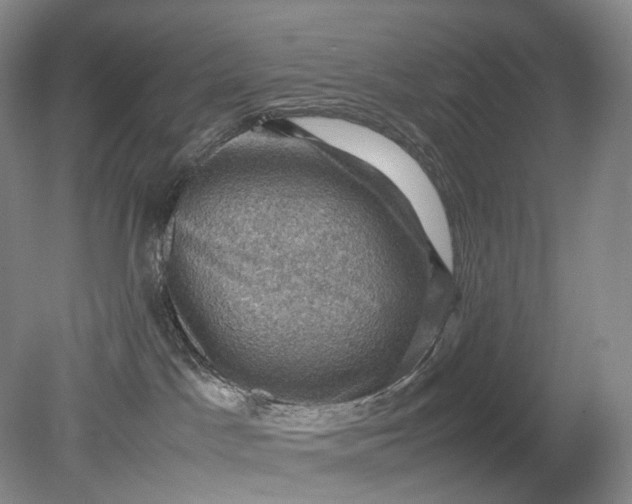 X0000079280045200612011709