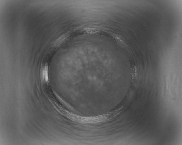 X0000079280046200612011709