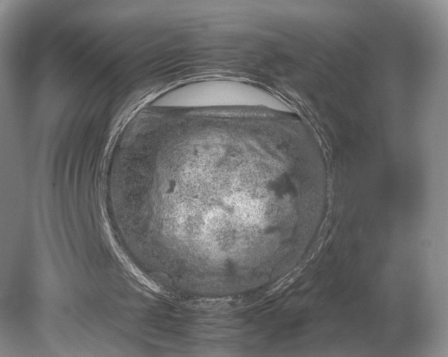 X0000079280049200612011708