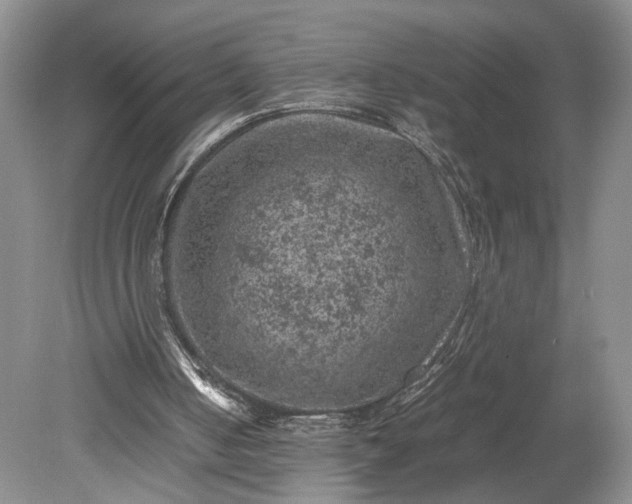 X0000079280050200612011708