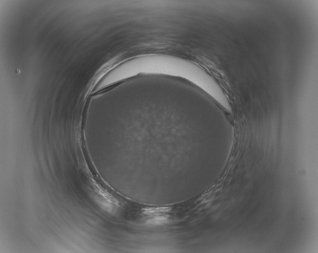 X0000079280051200612011708