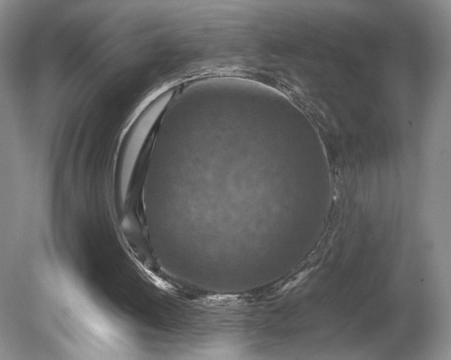 X0000079280052200612011708