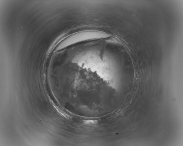 X0000079280053200612011708