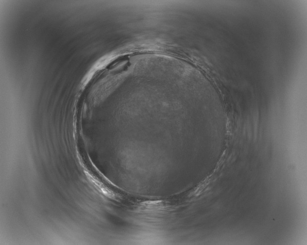 X0000079280054200612011708