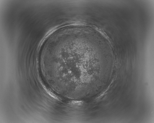 X0000079280055200612011708