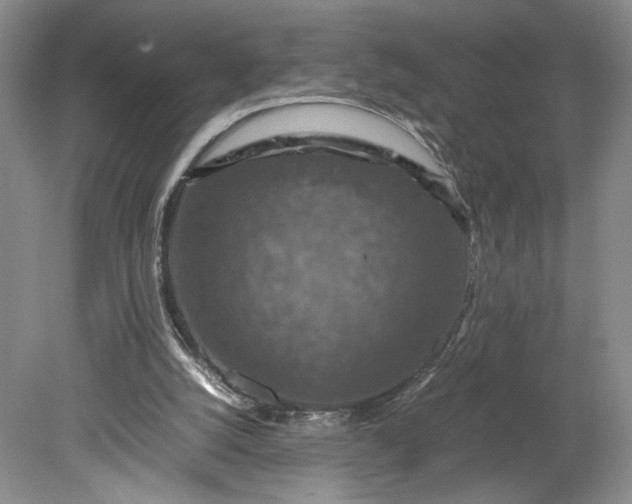 X0000079280056200612011708