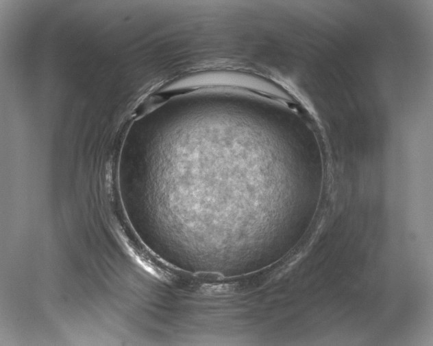 X0000079280057200612011709