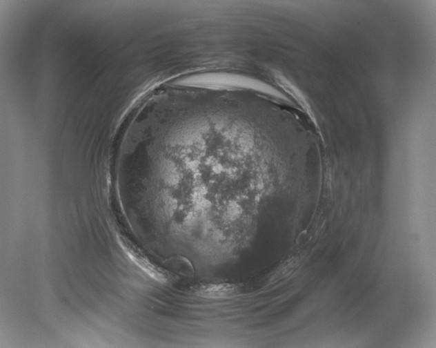 X0000079280059200612011709