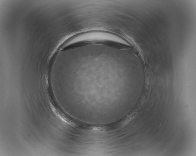 X0000079280060200612011709