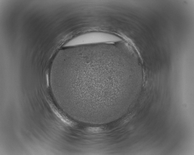 X0000079280061200612011709