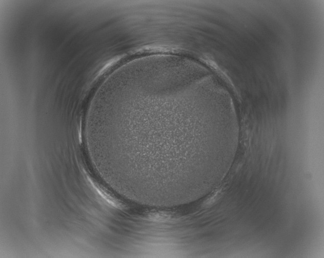 X0000079280062200612011709