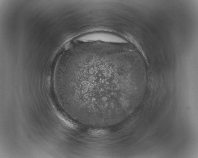 X0000079280063200612011709