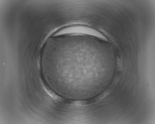 X0000079280064200612011709