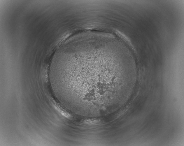 X0000079280065200612011709