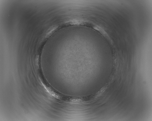 X0000079280066200612011709