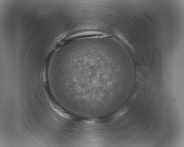 X0000079280068200612011709