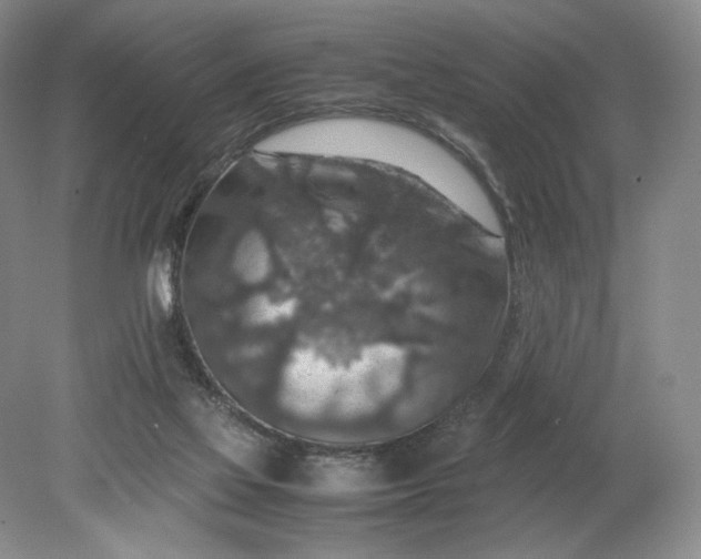 X0000079280069200612011709