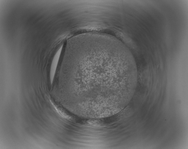 X0000079280070200612011709