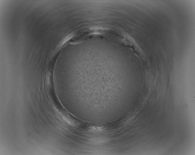 X0000079280071200612011709