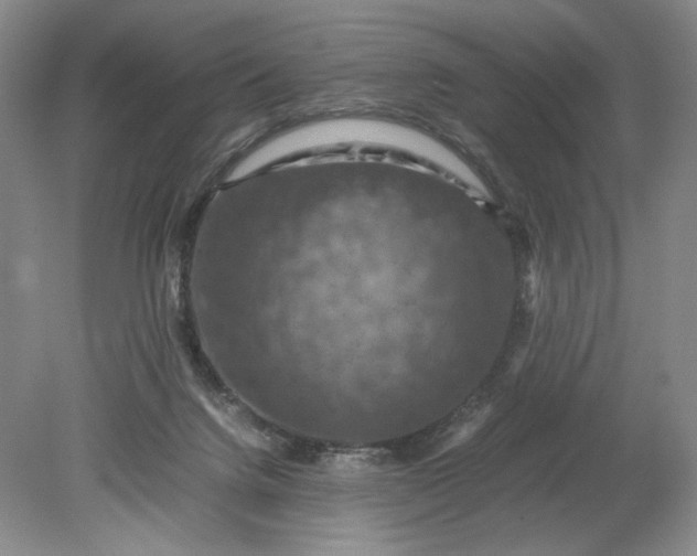 X0000079280072200612011709