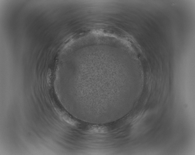 X0000079280073200612011709