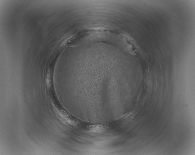 X0000079280074200612011709