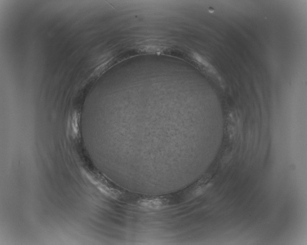 X0000079280075200612011709