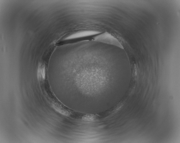 X0000079280076200612011709