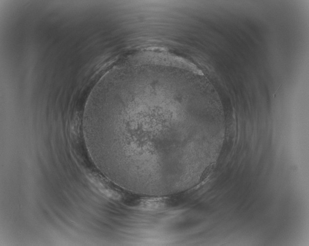 X0000079280078200612011709