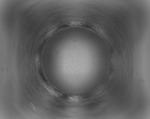 X0000079280079200612011709