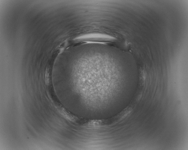 X0000079280080200612011709