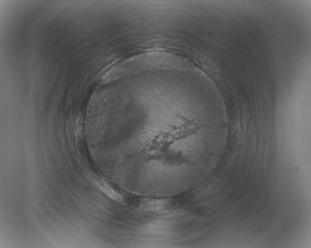 X0000079280081200612011709