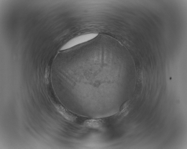 X0000079280082200612011709